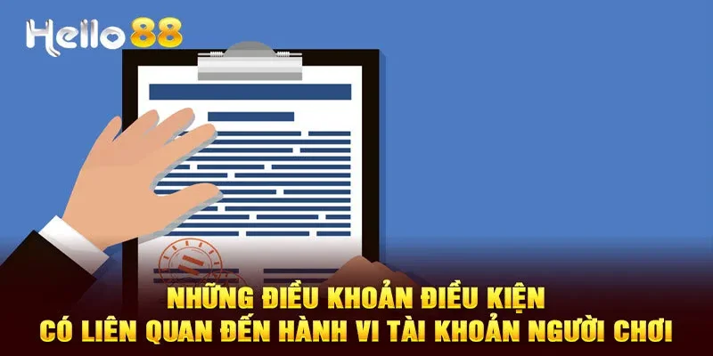 Các điều khoản điều kiện liên quan đến hành vi tài khoản